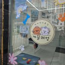 까끌레멍 | 강아지 첫미용 배넷미용도 안심하고 맡길수있는 경산 애견미용 까끌레멍