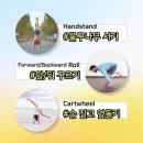볼터아크로바틱센터