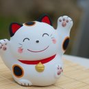 개운 이미지