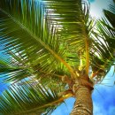 아라독채펜션 이미지