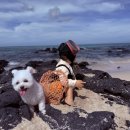 오대문약국 이미지