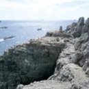 신선동-16 이미지