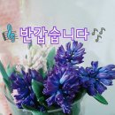 아침향기화원 이미지