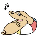 붐애견 이미지