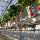 아람농장1 이미지