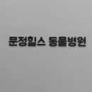 문정힐스동물병원 이미지