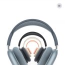 기타(플라스틱칩) 이미지