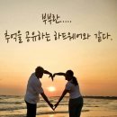 부부