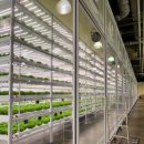 메가마트 메가도매센터 천안점 이미지