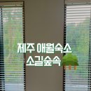 소길숲속 민박 이미지