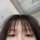충선로311번길 장제로340번길 | 2025. 5월 월말 정산🌳