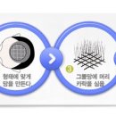 미래모 이미지