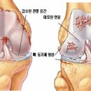 곽병원 이미지
