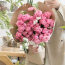 하엘플라워