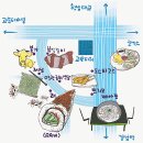 강남역(교보거리) 이미지