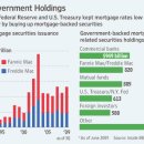 Questions Surround Fannie, Freddie-wsj 12/30: 훼니메,후레디 맥 의 위험한 재정상태 이미지