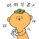 연수동사진관 이미지