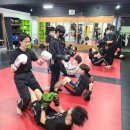 투혼복싱킥복싱 이미지