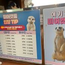 멍이와 쿤이 이미지