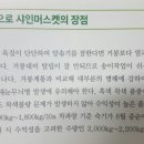 샤인머스켓포도, 샤인머스케묘목 재배기술 이미지