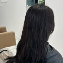 데일리헤어샾