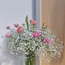 혜우 이미지