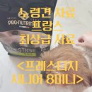 노령견 사료 추천, 프랑스 최상급사료 [프레스티지 시니어 8미니 ]