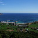 당근바다 이미지