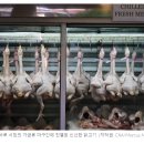 싱가포르 인플레이션으로 닭고기 가격이 상승함에 따라 습식 시장 가판대는 고객이 최대 50% 감소했습니다. 이미지