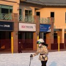 THINK SYSTEM | 자라(ZARA) 스키복 후기 | 다운 패딩 점퍼, 플레어 팬츠 | 가격·핏·보온성