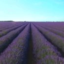 백모농장 이미지