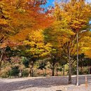 장수농협주유소 이미지