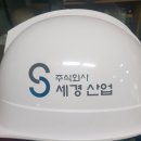 주식회사 세경