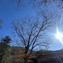 고성문화의집 | 고성 옥천사에 다녀왔어요, 옥천사는요~~~