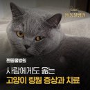 젠동물병원