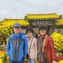 15회 마산 국화축제 나들이 이미지