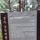 김유신묘 삼랑사터 금장대 나원리탑 진덕여왕릉 2021. 8. 21. 이미지