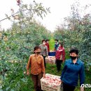 고산농장 1 이미지