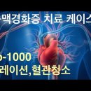 동맥경화증 치료 case: 혈관청소, 킬레이션 치료 (vp-1000검사 결과 설명) 이미지