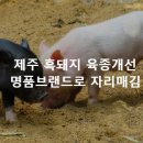 길갈영농조합법인 이미지