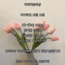 바바라뷰티샵 이미지