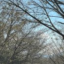 월등도캠핑장 이미지