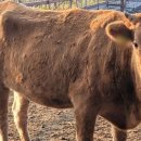 종대농장 이미지