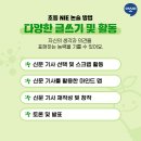 다산NIE