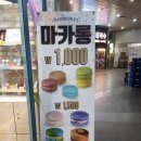 마리웨일237 이미지