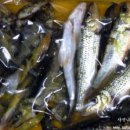 충청도민물매운탕 이미지