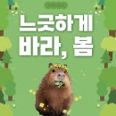 월드엔터테이먼트 | 롯데월드 아쿠아리움 후기, 실내 데이트 추천 서울 가볼만한 곳