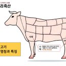 사태 이미지