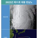 순천-11호 이미지