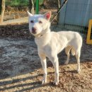 광주TNR동물병원(초월) 이미지